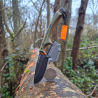 outdoor element scout feather on a log